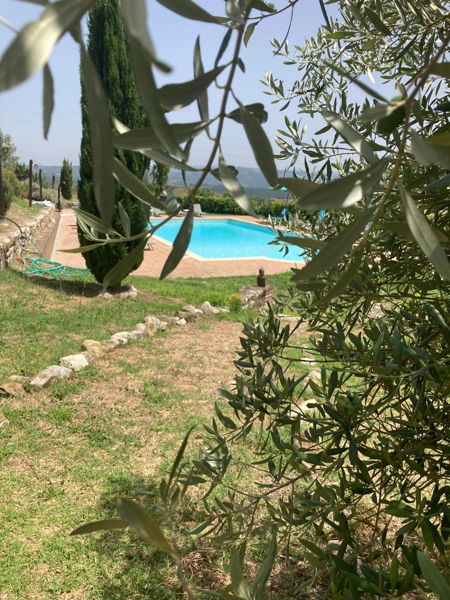 Country House La Collina Di Bargiano - Casa Raffaella Allerona Eksteriør bilde