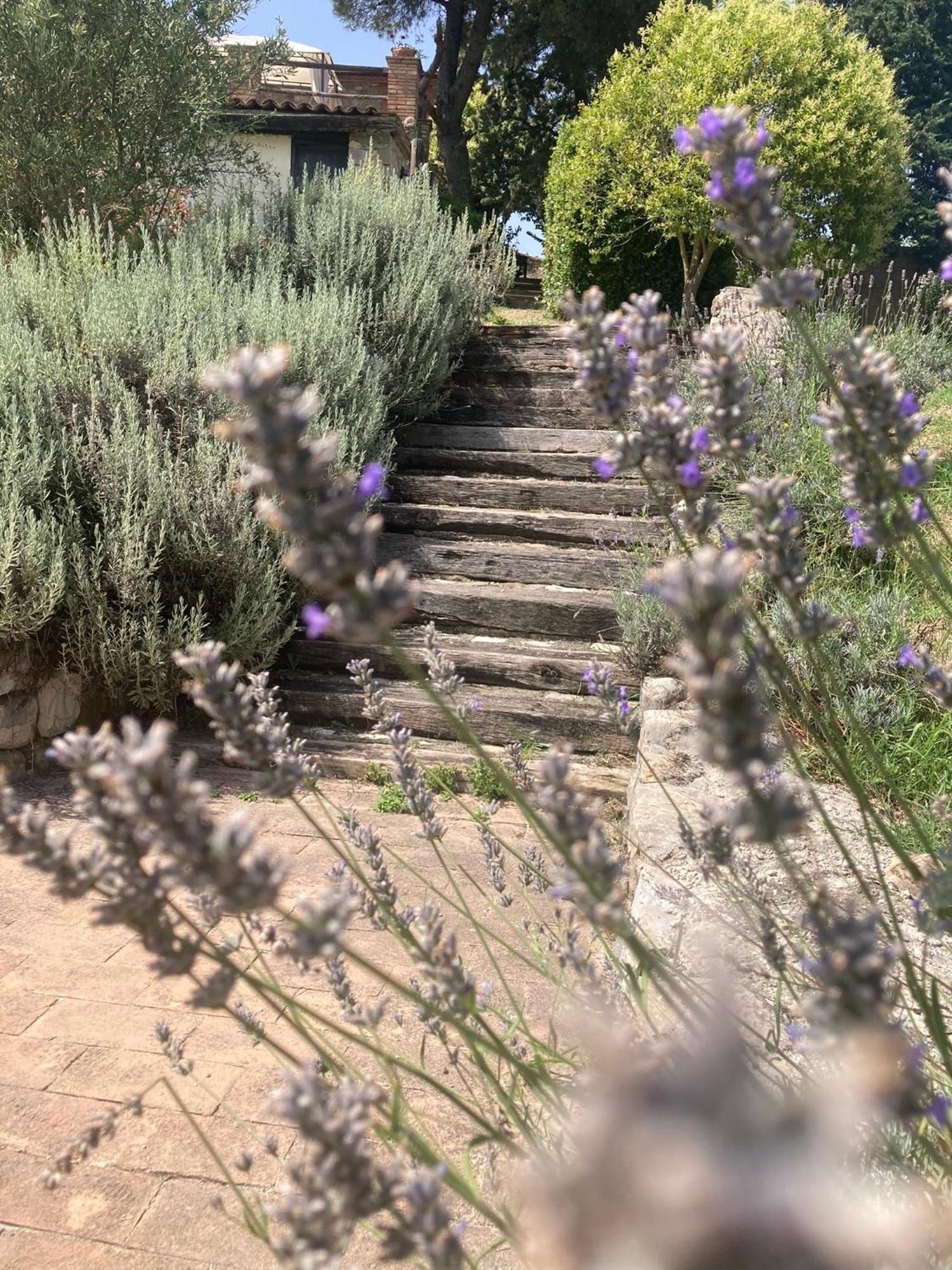 Country House La Collina Di Bargiano - Casa Raffaella Allerona Eksteriør bilde
