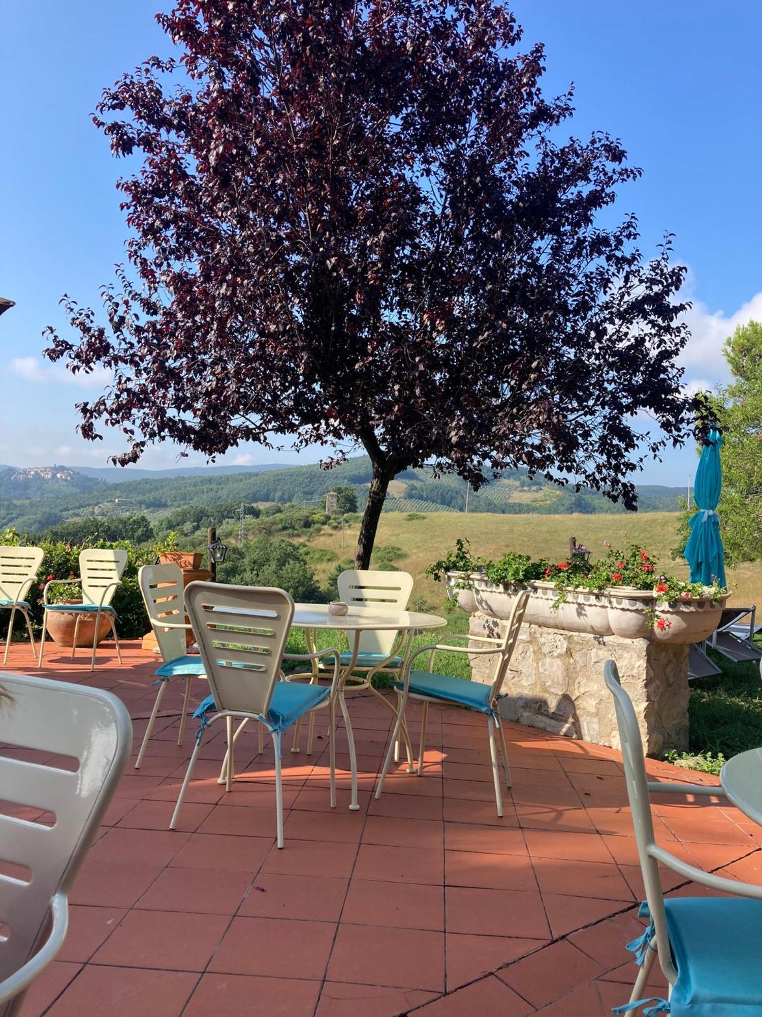 Country House La Collina Di Bargiano - Casa Raffaella Allerona Eksteriør bilde